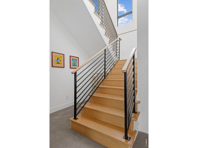 8675 Summerlin Pl, Longmont, CO 80503