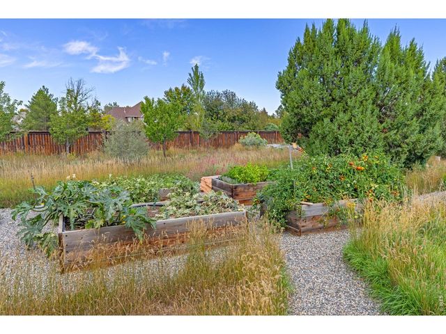 8675 Summerlin Pl, Longmont, CO 80503