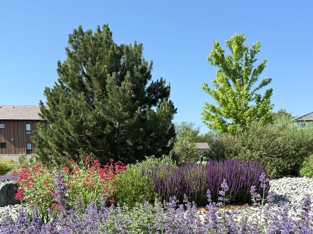 8675 Summerlin Pl, Longmont, CO 80503
