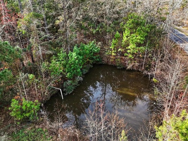 2849 Highway 545, Conway, SC 29526