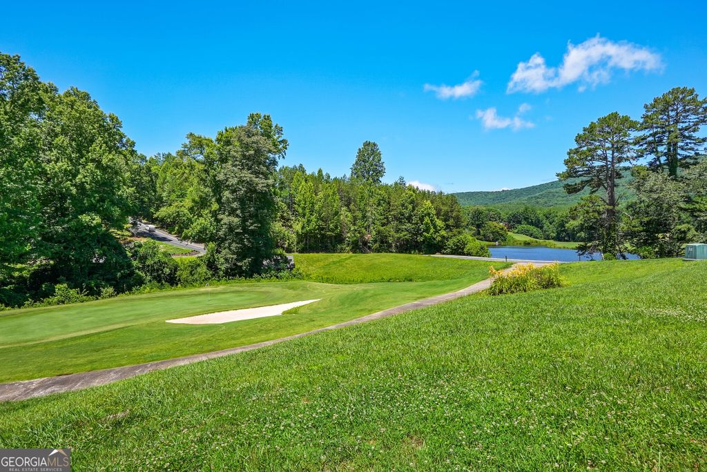 501 Granny Smith Circle, Clarkesville, GA 30523 — photo 4