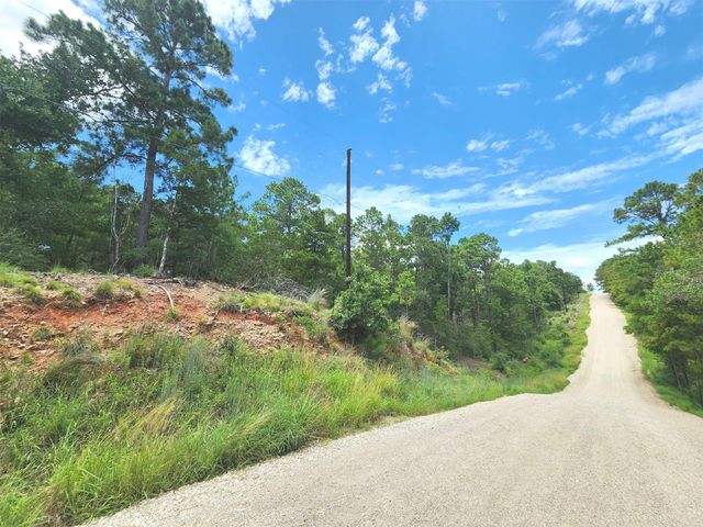 170 Molokini DR, Bastrop, TX 78602