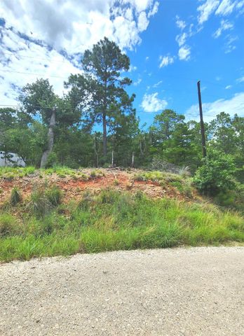 170 Molokini DR, Bastrop, TX 78602