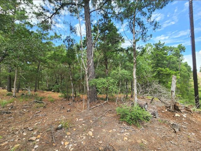 170 Molokini DR, Bastrop, TX 78602