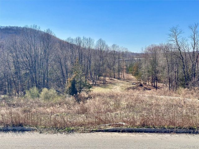 34 Mountainside Drive, Chester, NY 10918