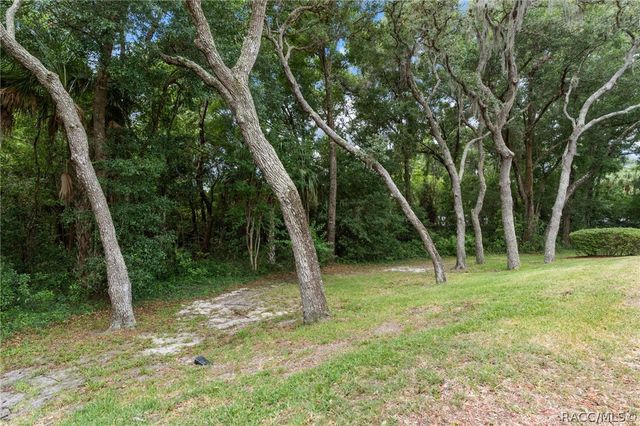 1523 N Marlborough Loop, Crystal River, FL 34429