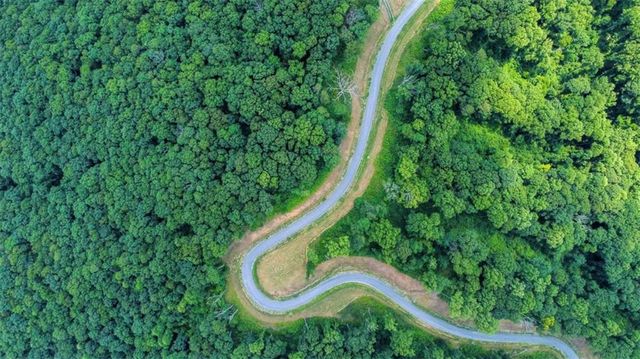 LOT 56 High Summit Drive, Talking Rock, GA 30175