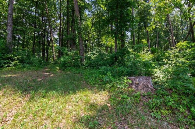 LOT 56 High Summit Drive, Talking Rock, GA 30175