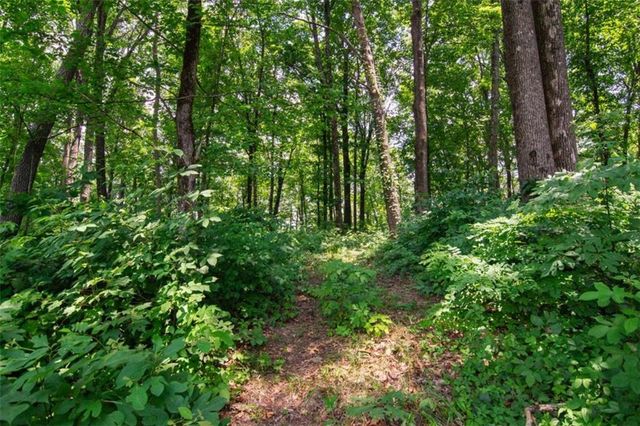 LOT 56 High Summit Drive, Talking Rock, GA 30175