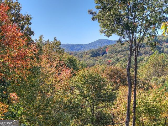 240 Lower Prince Mountain Road, Cherry Log, GA 30522