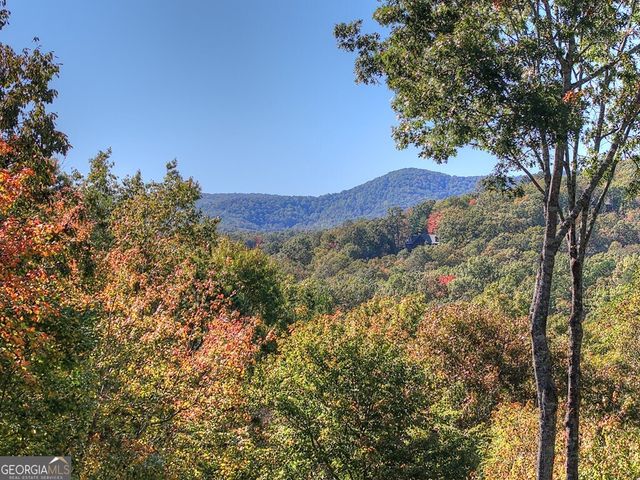 240 Lower Prince Mountain Road, Cherry Log, GA 30522