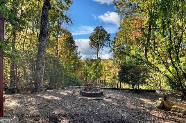 240 Lower Prince Mountain Road, Cherry Log, GA 30522