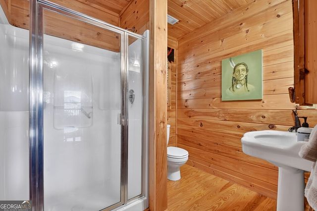 240 Lower Prince Mountain Road, Cherry Log, GA 30522