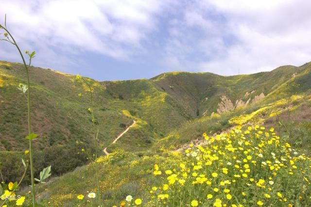 367 Capistrano Drive, Ventura, CA 93004