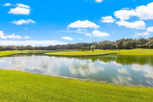 30324 LAURELWOOD LANE, Wesley Chapel, FL 33543