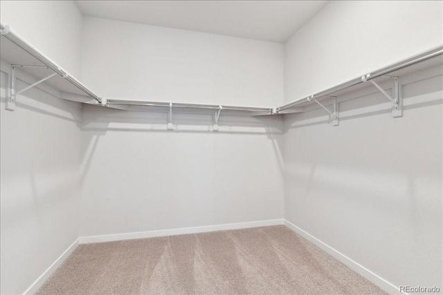 1431 Loraine Circle N, Erie, CO 80026