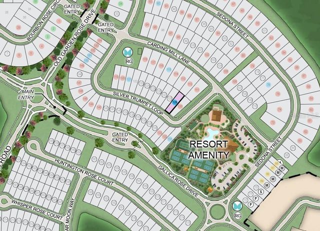 11202 SILVER TRUMPET LOOP, Winter Garden, FL 34787