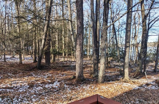 9 Canterbury Court, White Lake, NY 12720