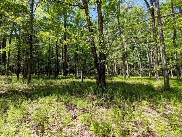 9 Canterbury Court, White Lake, NY 12720