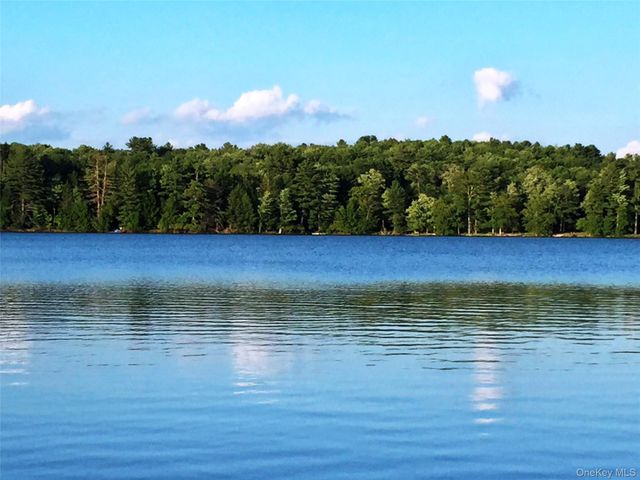 9 Canterbury Court, White Lake, NY 12720