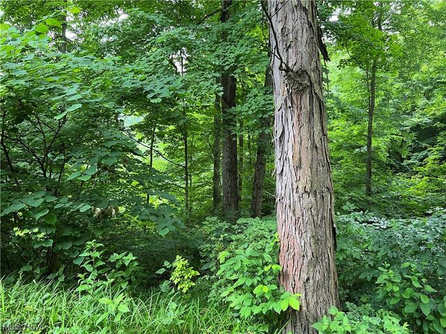 73310 Hazelwood Hills Road, Piedmont, OH 43983