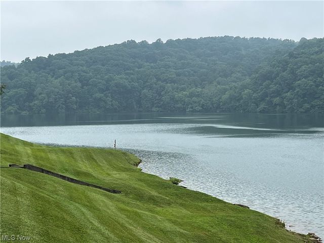 73310 Hazelwood Hills Road, Piedmont, OH 43983