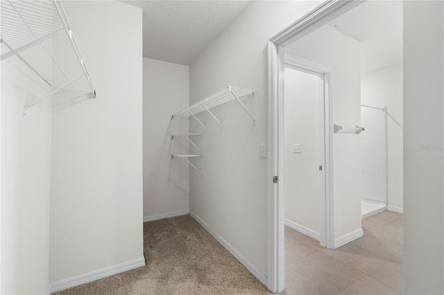 10212 GOLDEN LIGHT COURT, Riverview, FL 33578