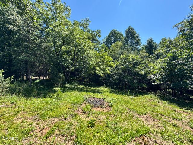 128 Dan Berry Hill Road, Elizabethton, TN 37643