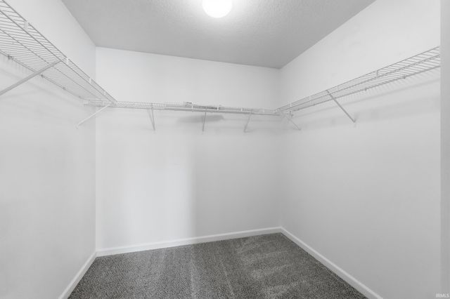 2823 Jacobs Creek Run, Fort Wayne, IN 46825