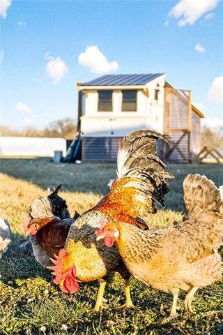 5199 SE Fox Run Road, Lathrop, MO 64465