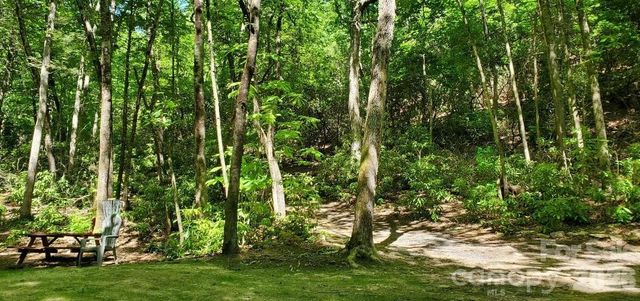 51 Bird Creek Estates Road, Black Mountain, NC 28711