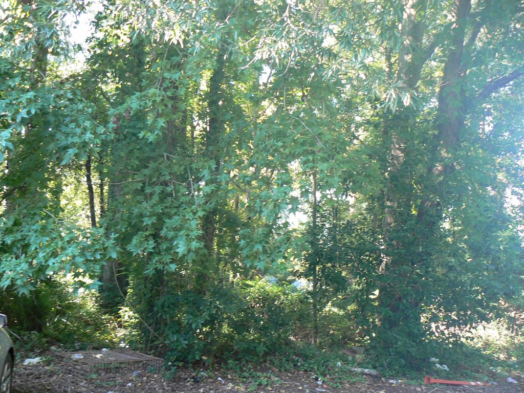 1405 Shavis Ct., Myrtle Beach, SC 29577 — exterior