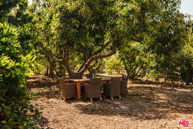 280 Cummings Road, Santa Paula, CA 93060