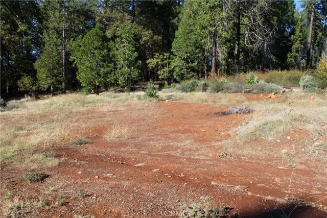 13911 Cluster, Magalia, CA 95954