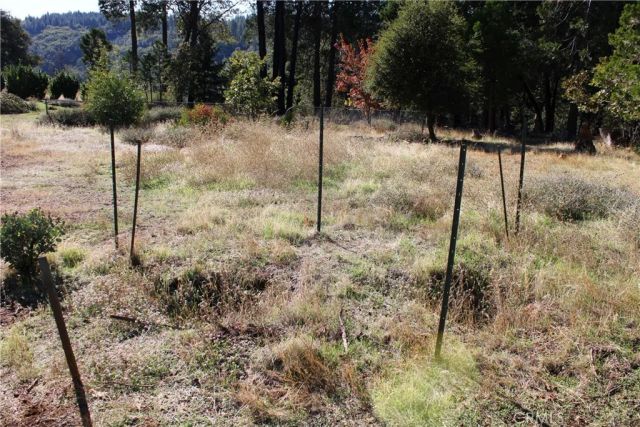 13911 Cluster, Magalia, CA 95954