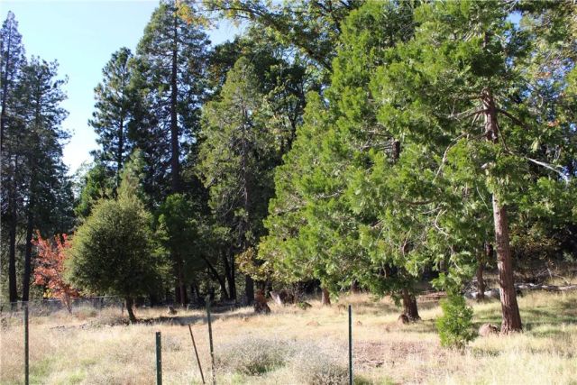 13911 Cluster, Magalia, CA 95954