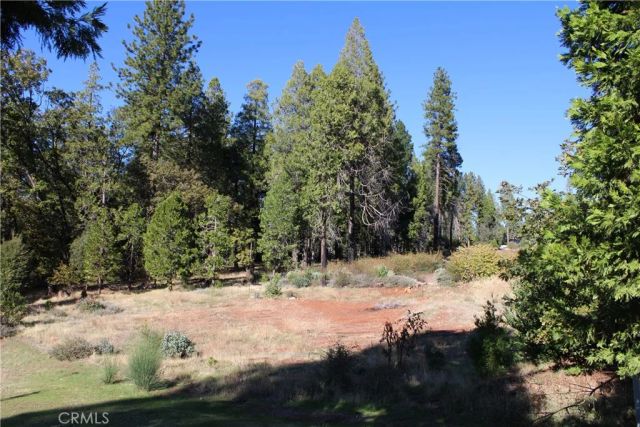 13911 Cluster, Magalia, CA 95954