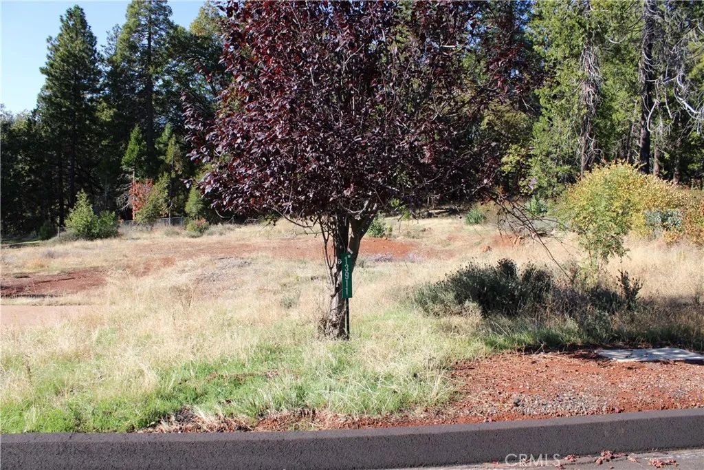 13911 Cluster, Magalia, CA 95954