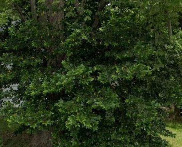 0 Arabella Street, Houston, TX 77091