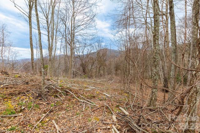 11 Chandra Lane, Clyde, NC 28721