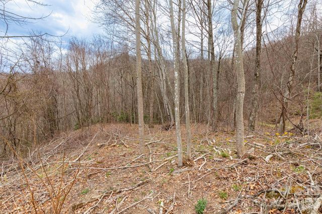 11 Chandra Lane, Clyde, NC 28721
