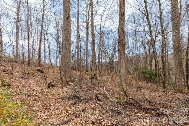 11 Chandra Lane, Clyde, NC 28721
