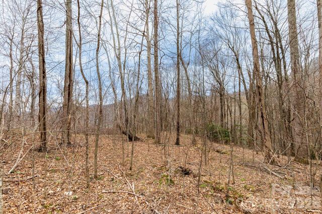 11 Chandra Lane, Clyde, NC 28721