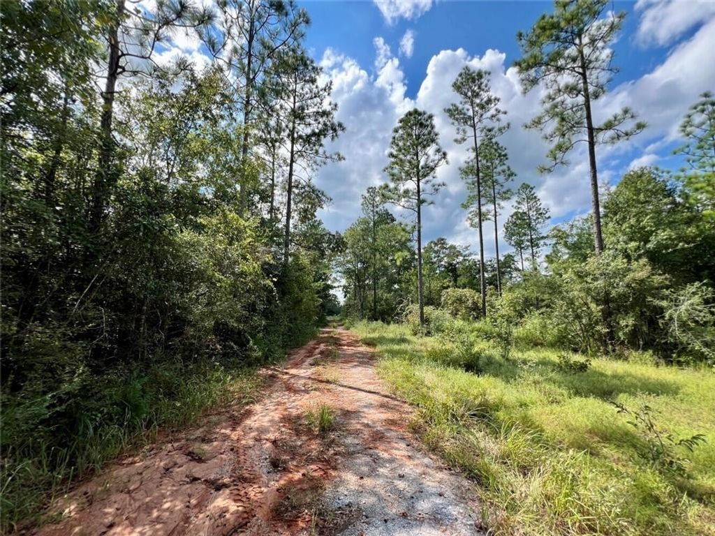 0 Shepard House Road, Mount Vernon, AL 36560 — photo 2