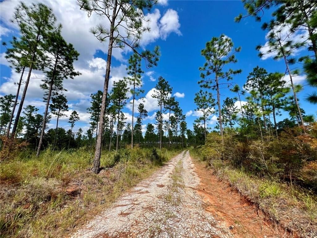 0 Shepard House Road, Mount Vernon, AL 36560 — photo 5