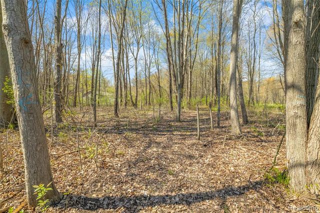 16000 S Huron River Drive, Romulus, MI 48174