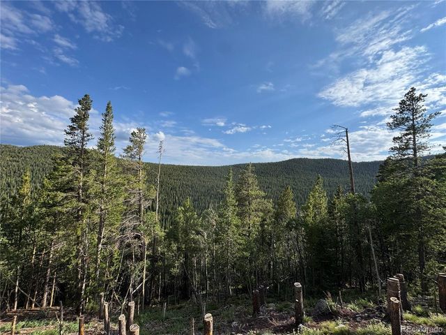 0 Loch Lomond Rd, Idaho Springs, CO 80452
