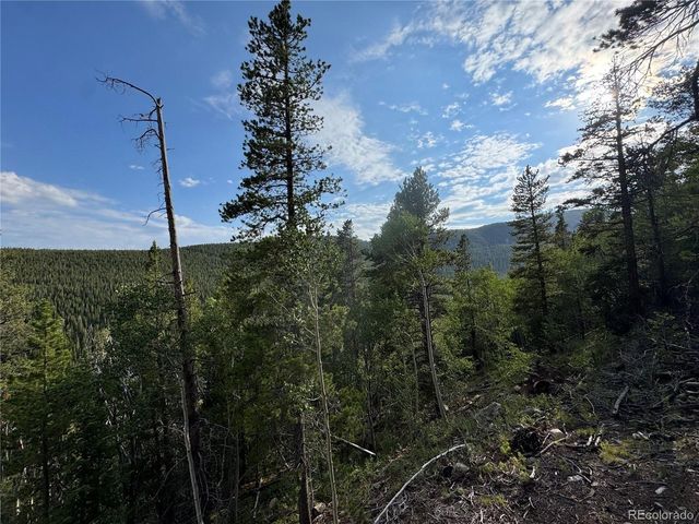0 Loch Lomond Rd, Idaho Springs, CO 80452