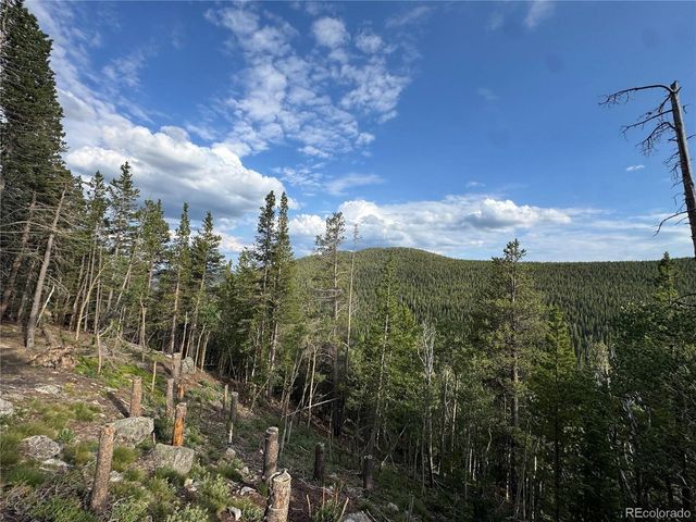 0 Loch Lomond Rd, Idaho Springs, CO 80452