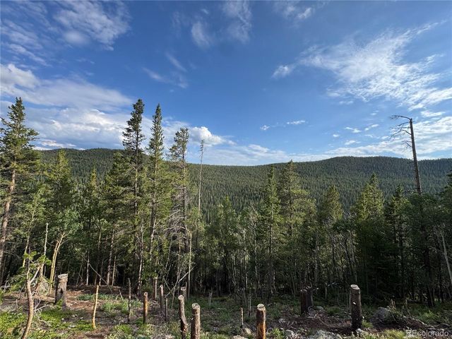 0 Loch Lomond Rd, Idaho Springs, CO 80452
